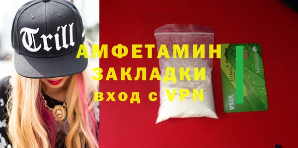 шишки Лабытнанги
