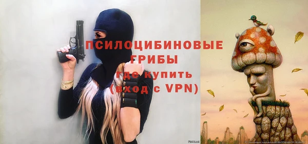 тгк Лагань