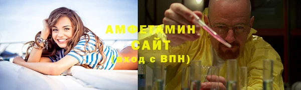 шишки Лабытнанги