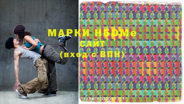 шишки Лабытнанги
