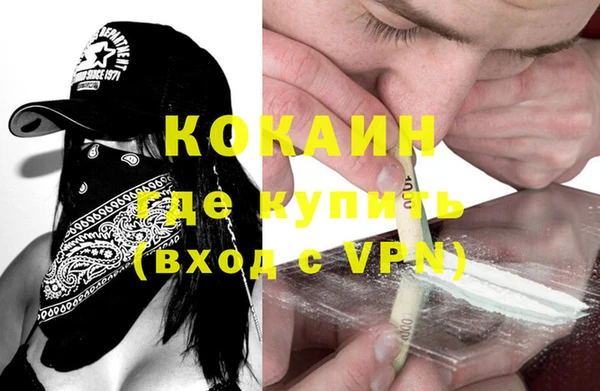 шишки Лабытнанги