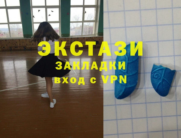 шишки Лабытнанги