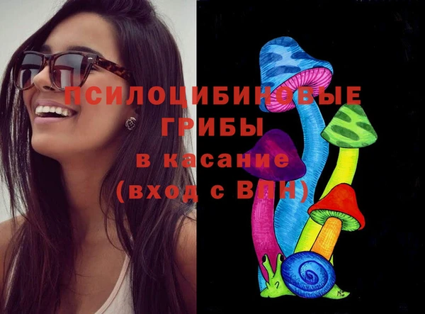 шишки Лабытнанги