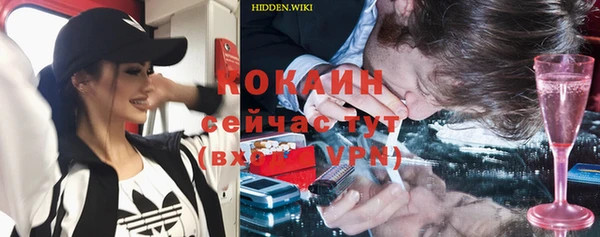 тгк Лагань