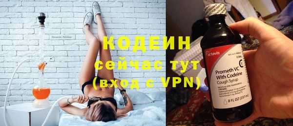 шишки Лабытнанги