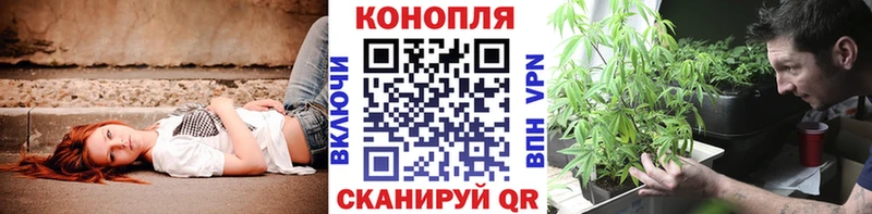 Бошки марихуана AK-47  ссылка на мегу ссылка  Терек 